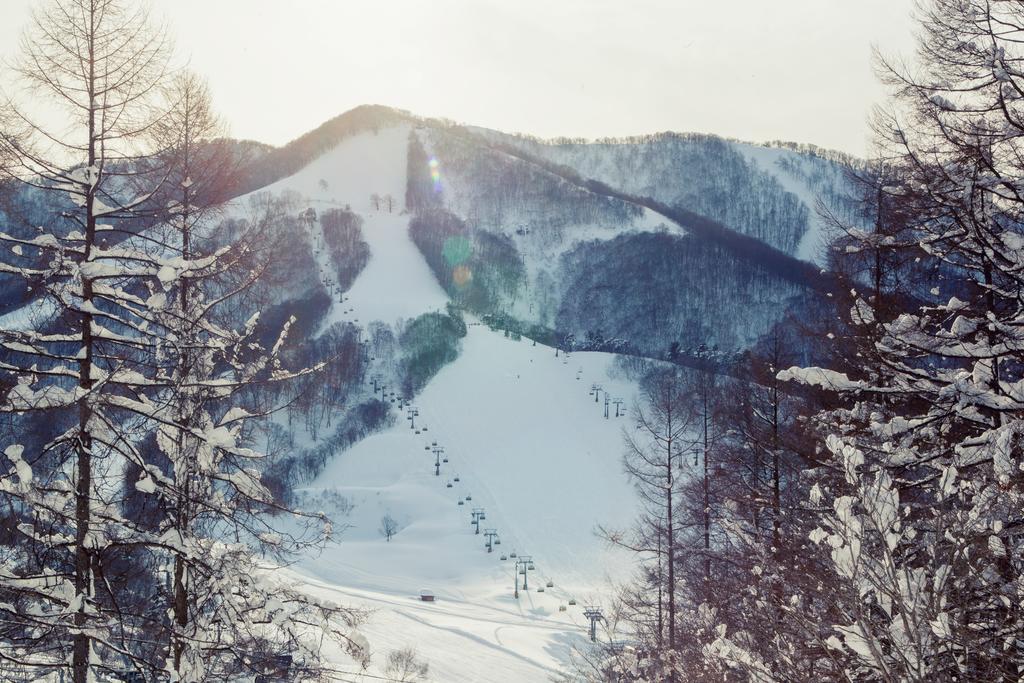 Hotel Snowball Chalet At Madarao Mountain Iiyama Esterno foto